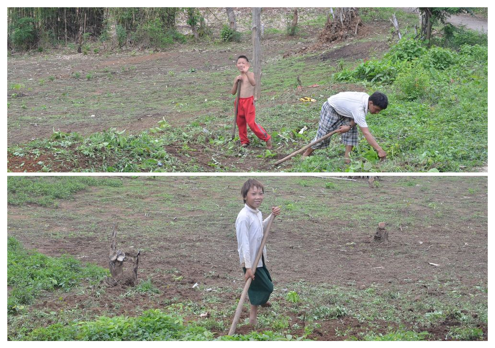 Hsipaw trekkiing boys helping farming