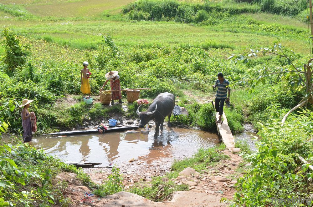 昔卜健行 Hsipaw trekking