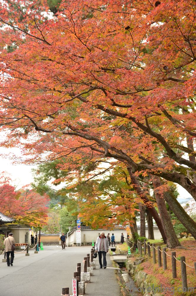 nanzenji18