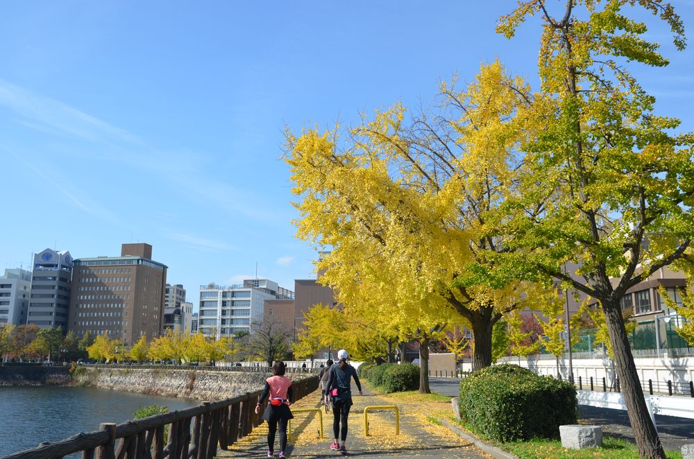 osaka castle1