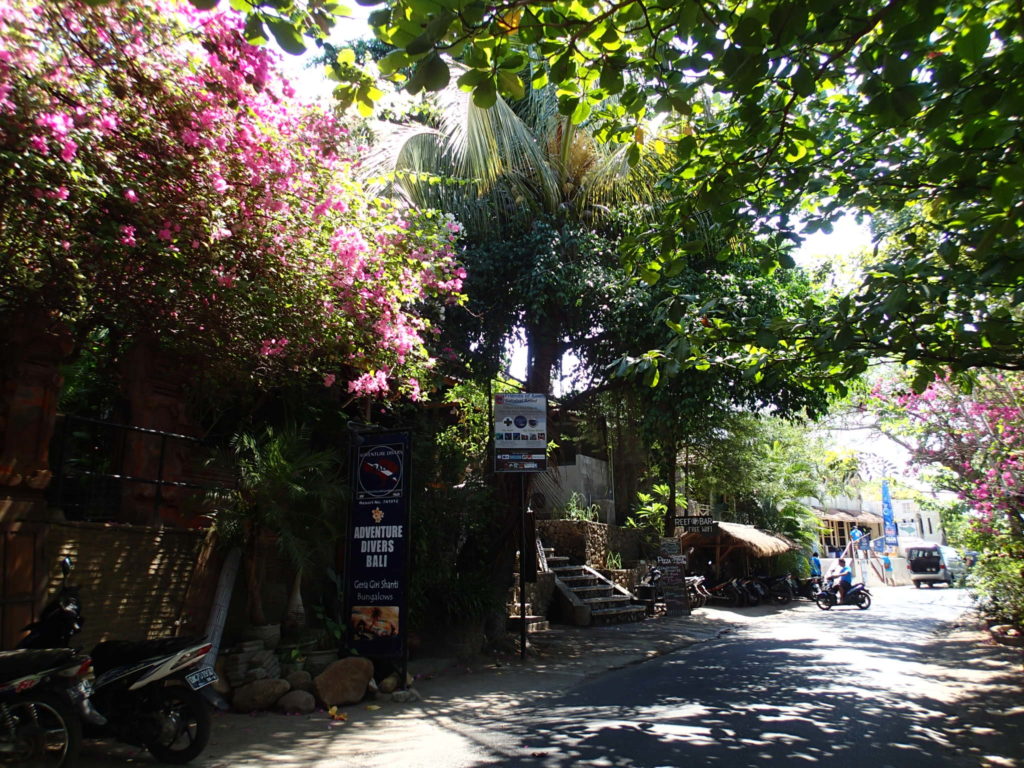 Amed Bali road