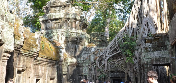 Angkor Wat Tomb Raider