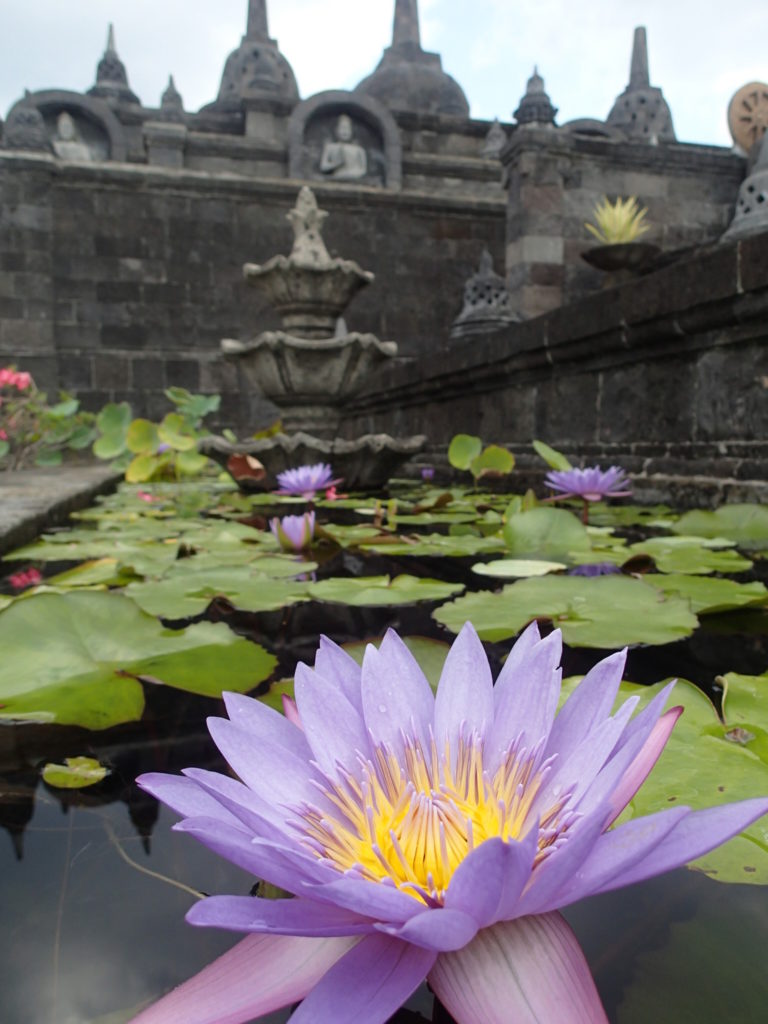 Banjar Buddhist Temple Lovina Bali lotus