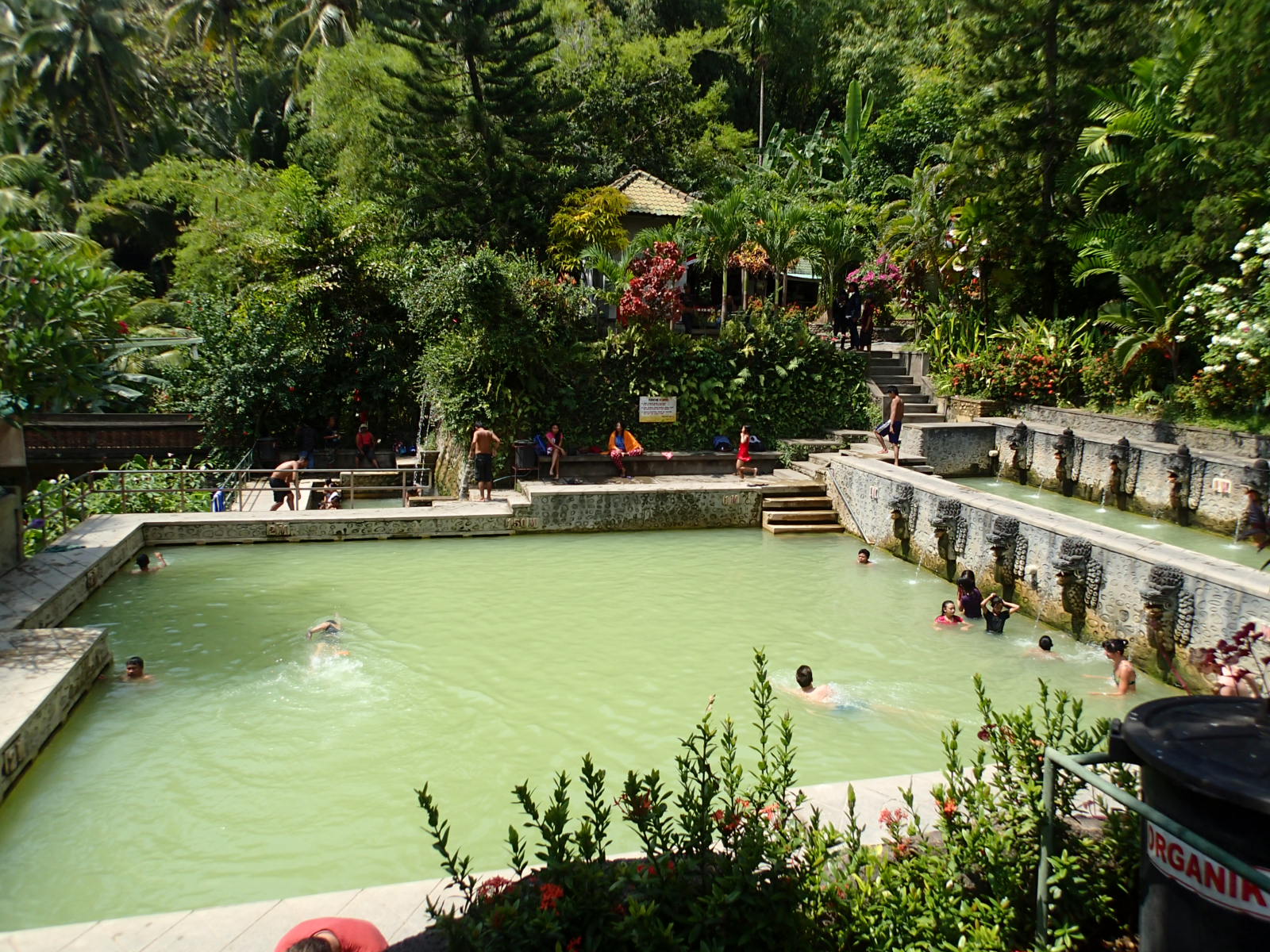 Banjar Hot Springs Lovina Bali pool