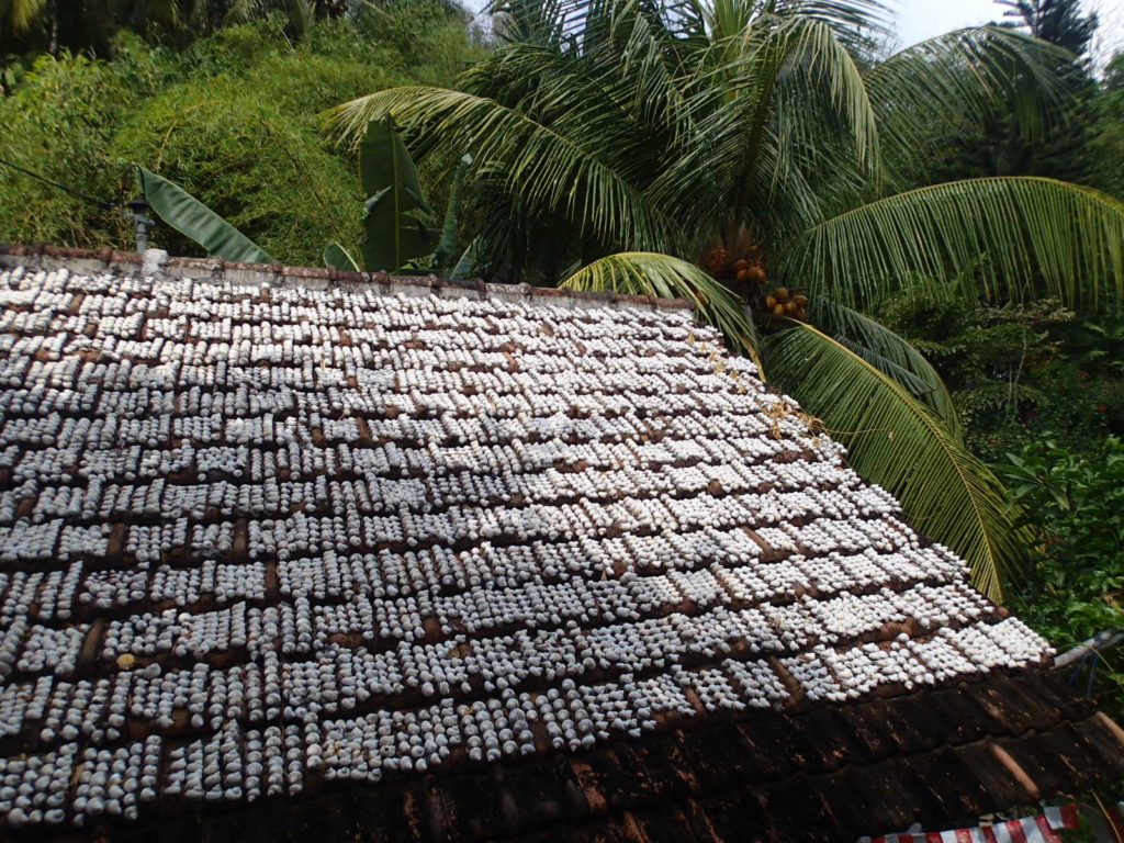 Banjar Hot Springs house roof deco