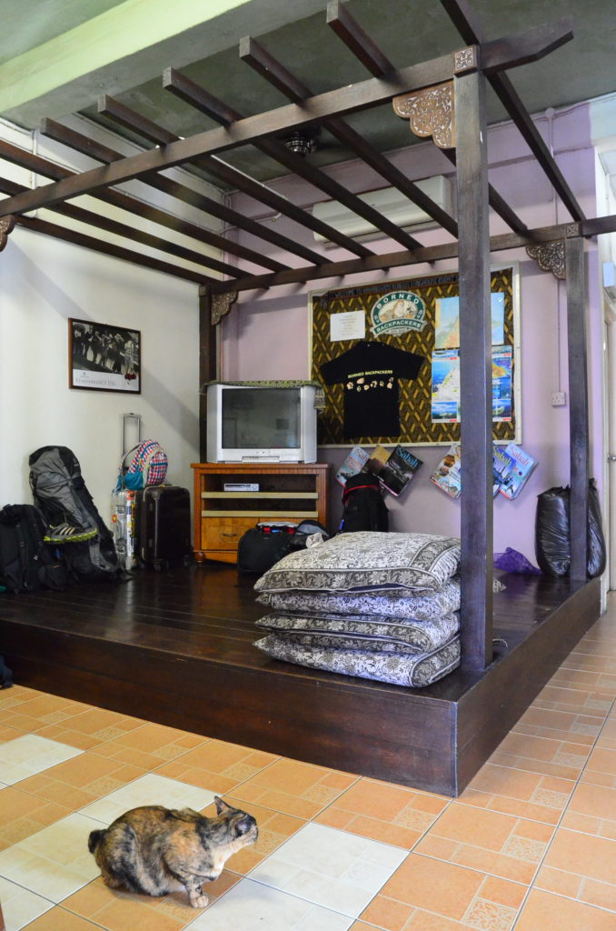 Borneo Backpackers KK lobby