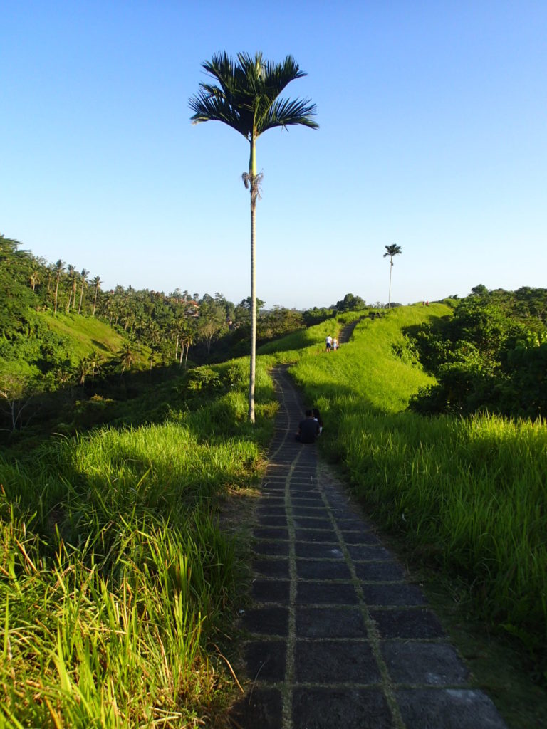 Campuhan Ridge Walk