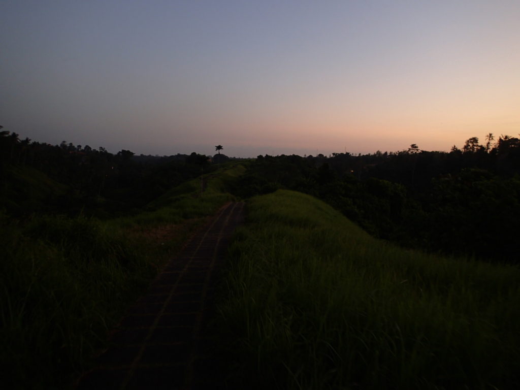 Campuhan Ridge Walk Ubud Bali after sunset