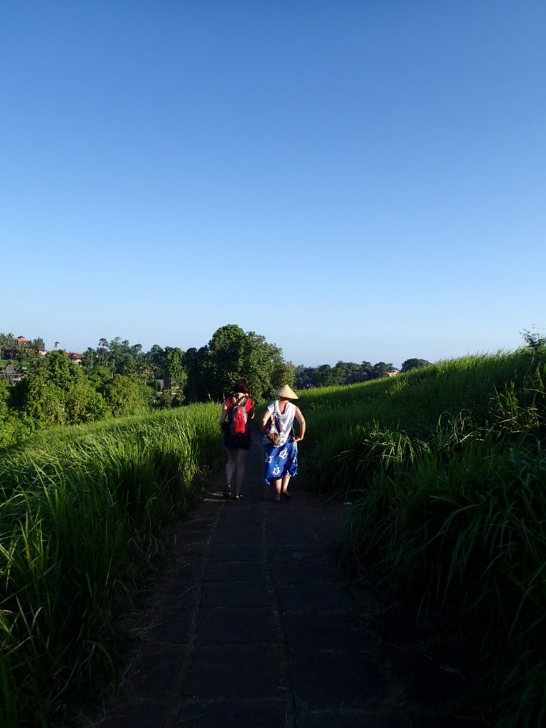 烏布健行 Campuhan Ridge Walk