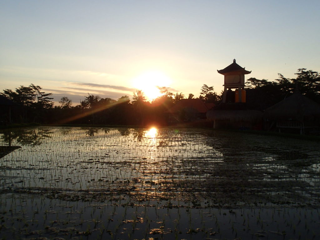 Campuhan Ridge Walk sunset