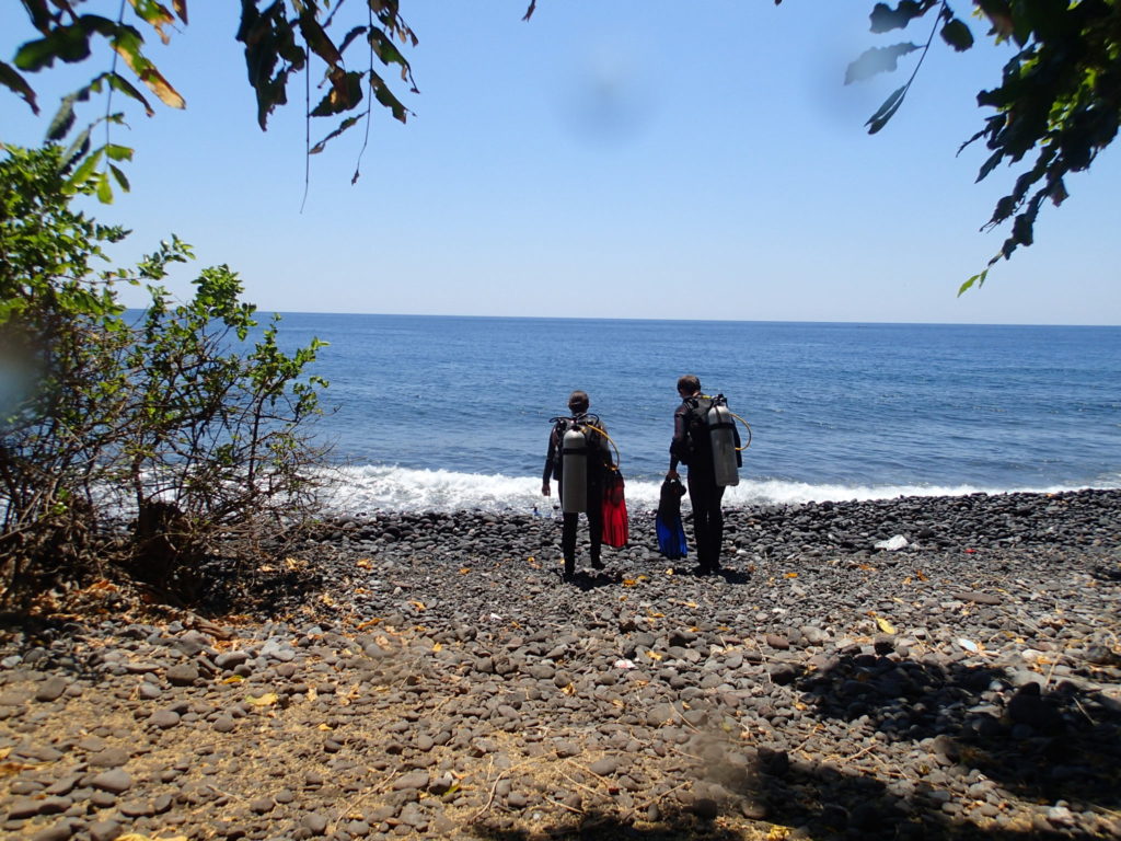 Coral Garden Tulamben D1 point