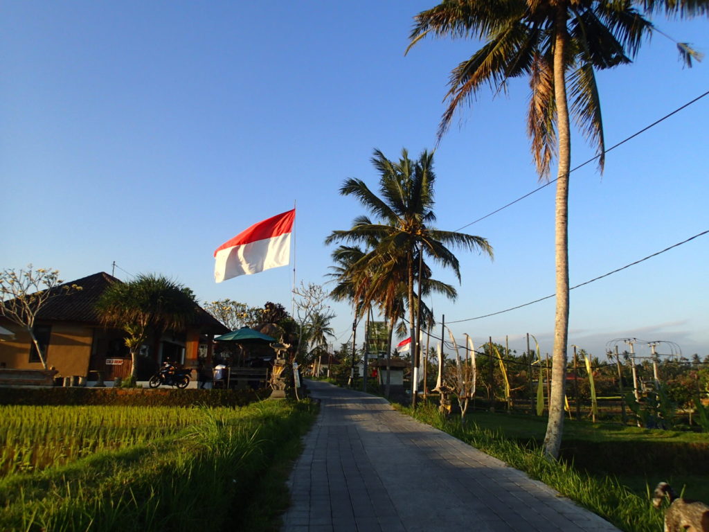 Farm Ubud Bali