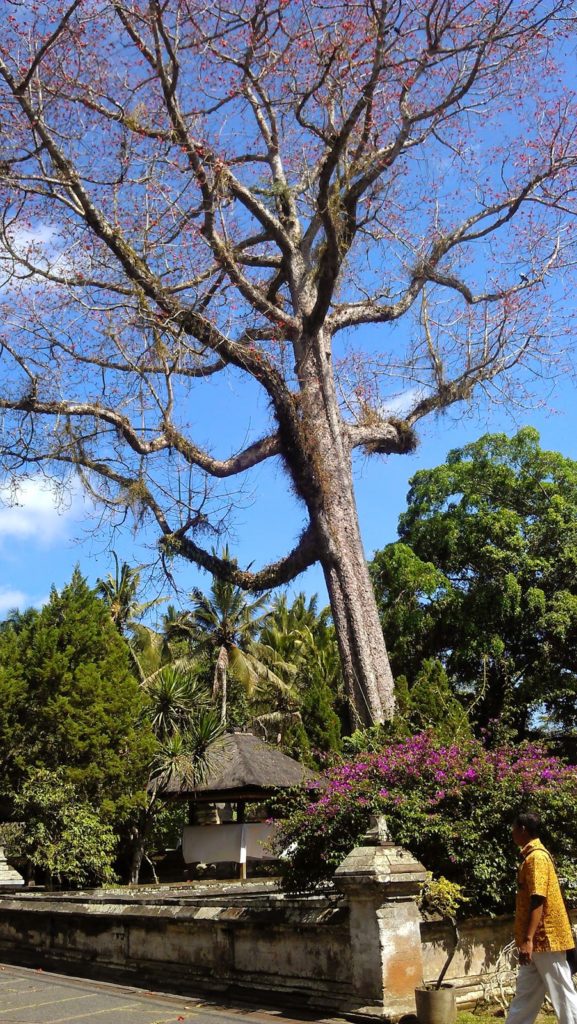 Goa Gajah Ubud Bali 3