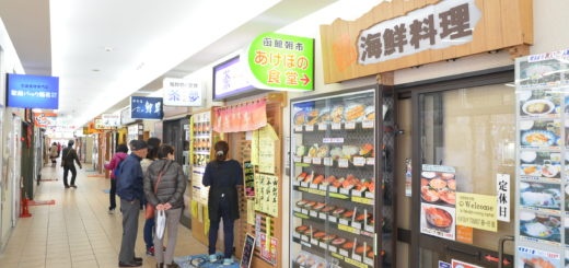 Hakodate Donburi Yokocho Market Hokkaido