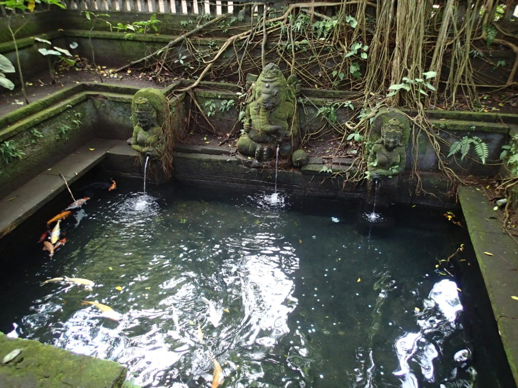 Holy Pool Monkey Forest Ubud Bali