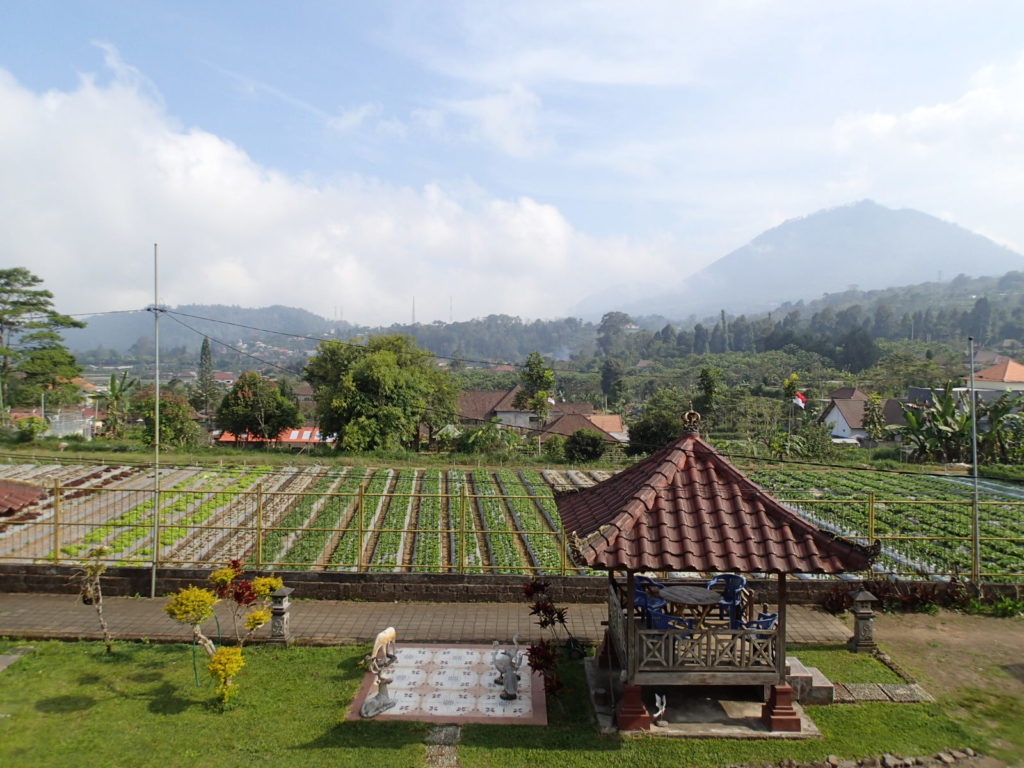 Hotel Sorgawi Bedugul room view