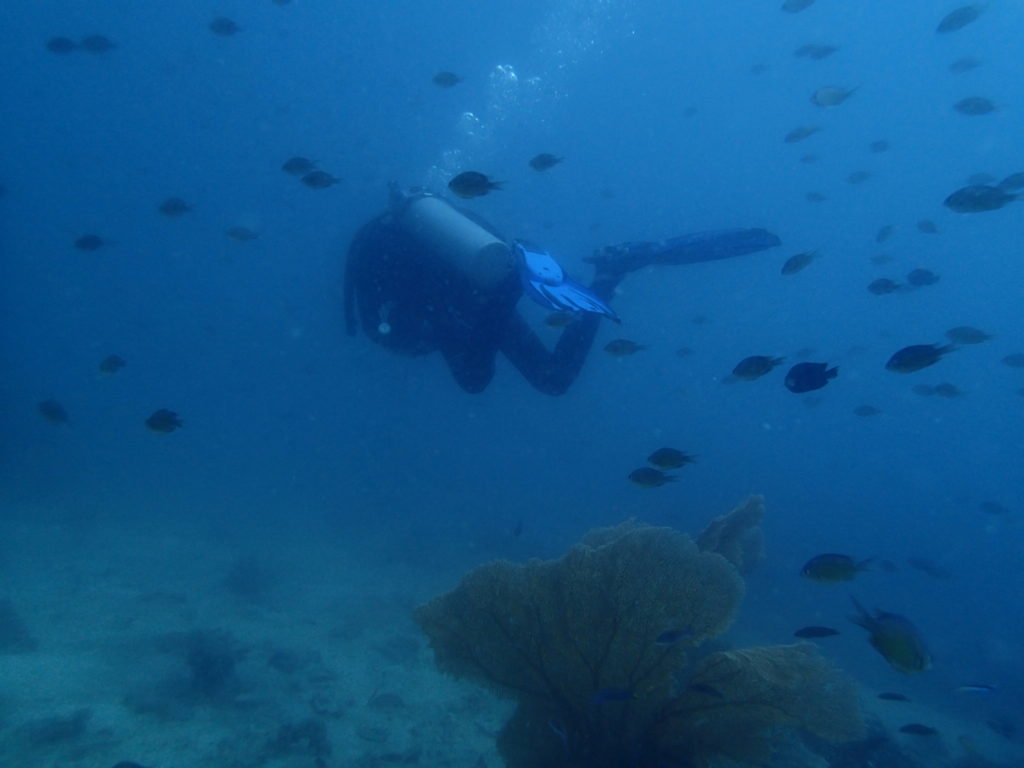 Koh Bida Nok Pi Pi island diving instructor