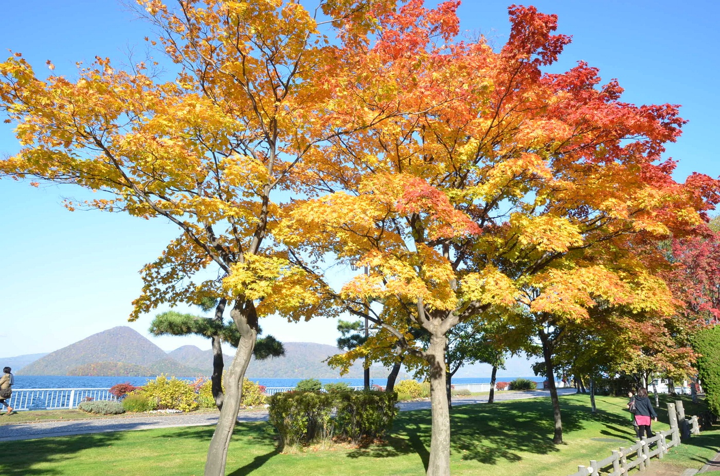 Lake Toya Hokkaido fall