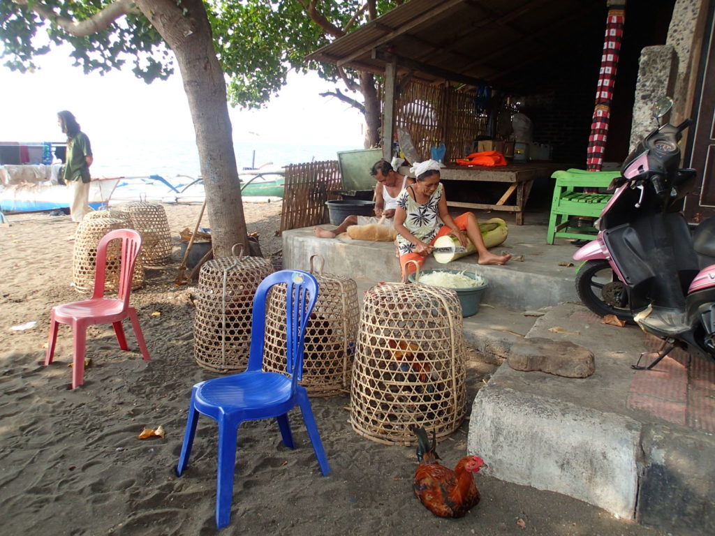 Lovina beach Bali chickens