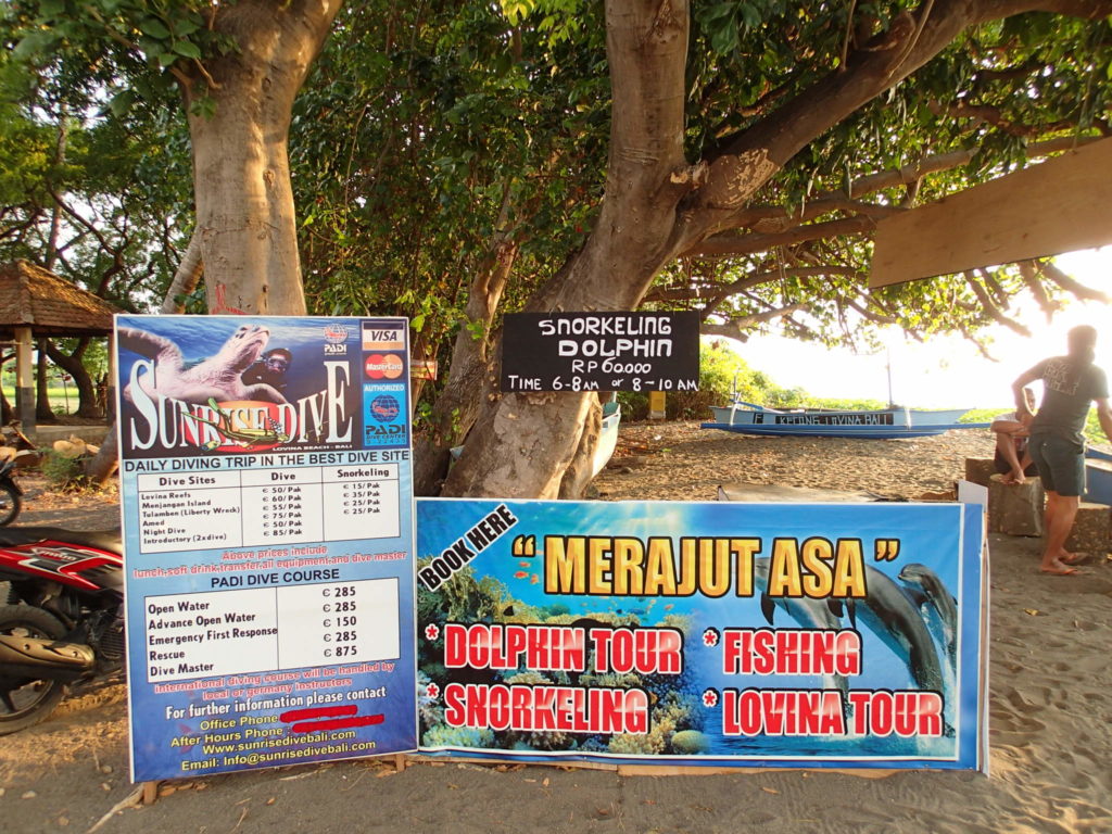 Lovina beach diving package