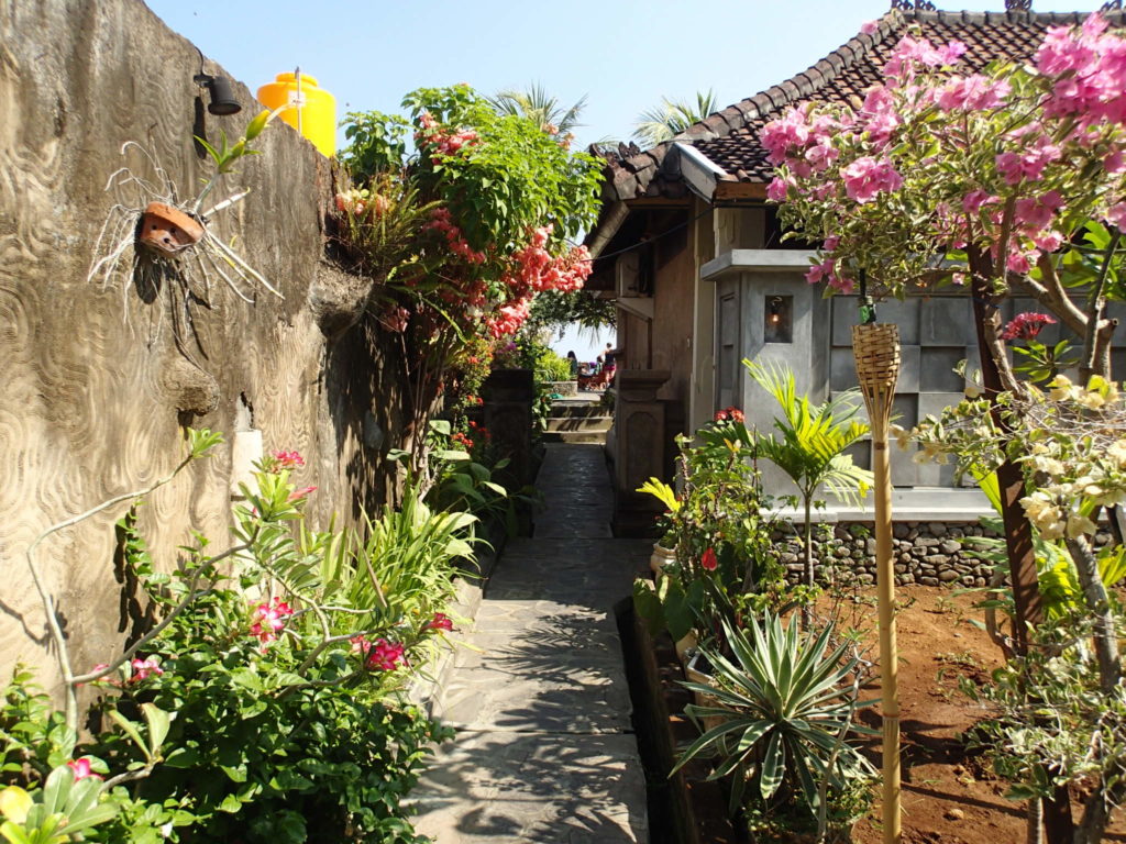 Mandhara Chico Bungalow Lovina Bali garden