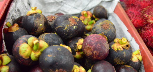 Mangosteen KK Malaysia