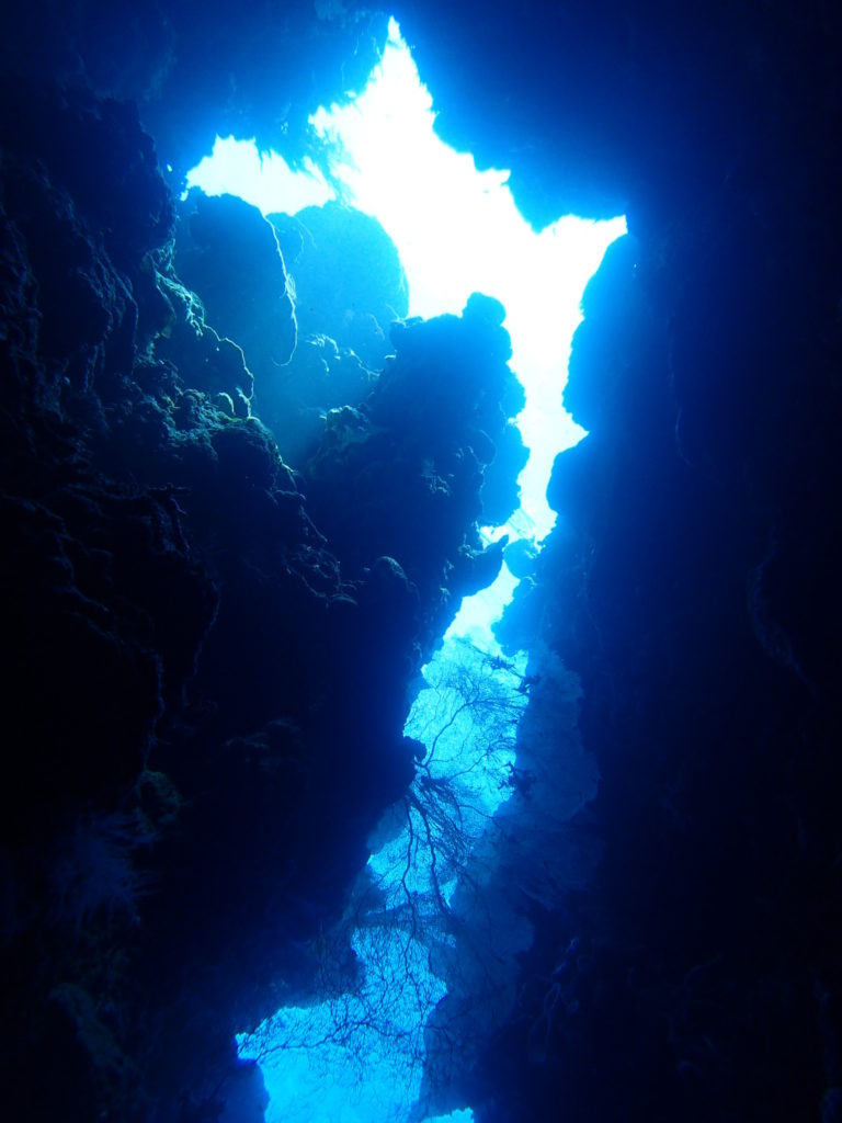 Menjangan Island Bali cave point diving