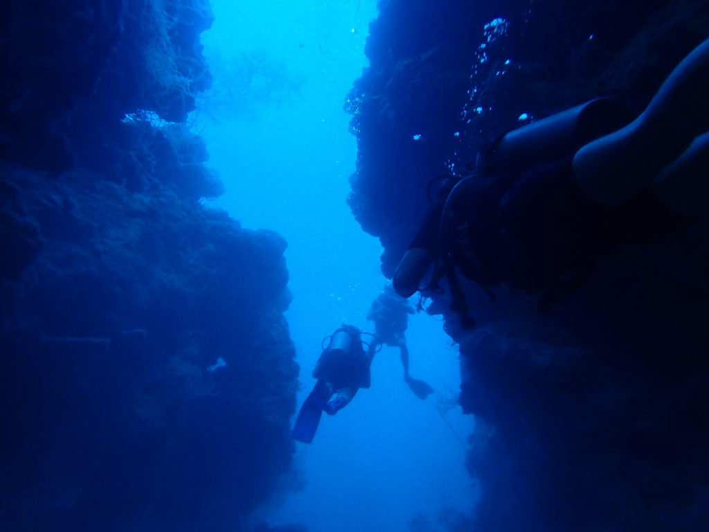 Menjangan Island Bali diving cave point