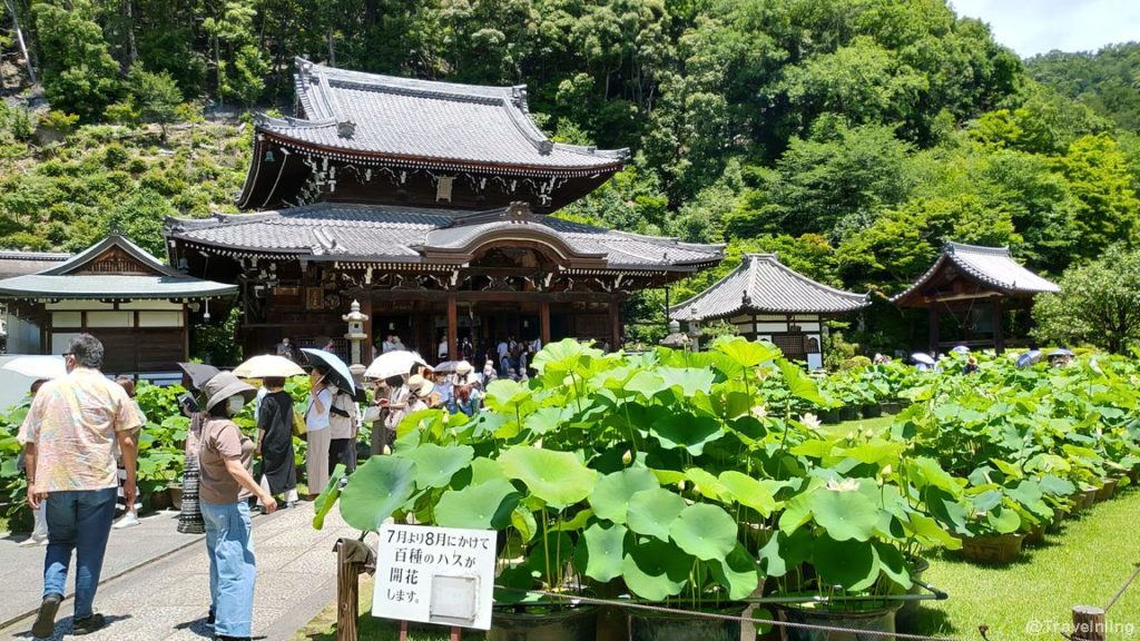 Mimurotoji temple Kyoto summer