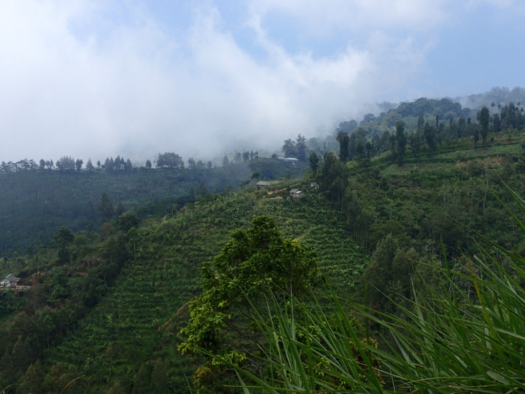 Mountain ridge Bali