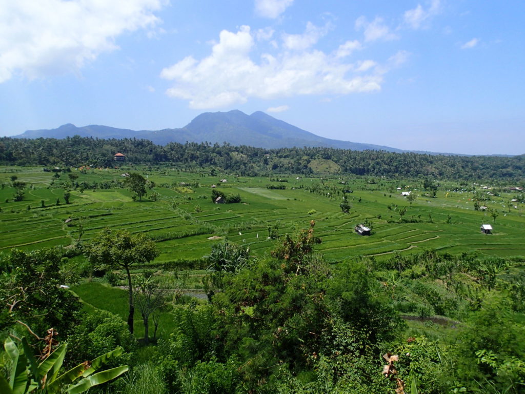 Rice Terraces east Bali