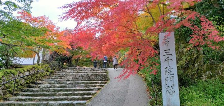 Sanzenin Oohara Kyoto autumn