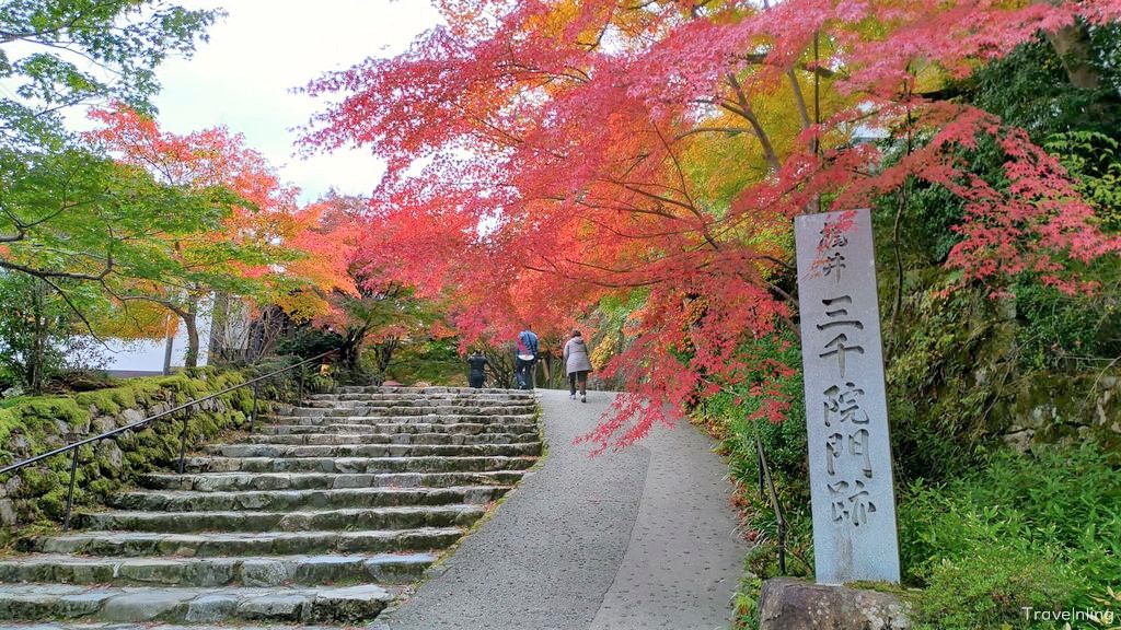 Sanzenin Oohara Kyoto autumn