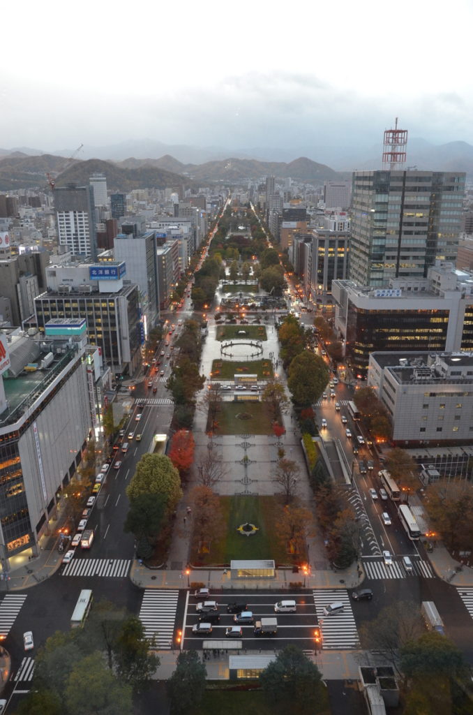 Sapporo TV Tower Hokkaido view