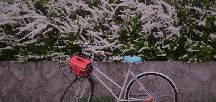 Second hand Bicycle Kyoto