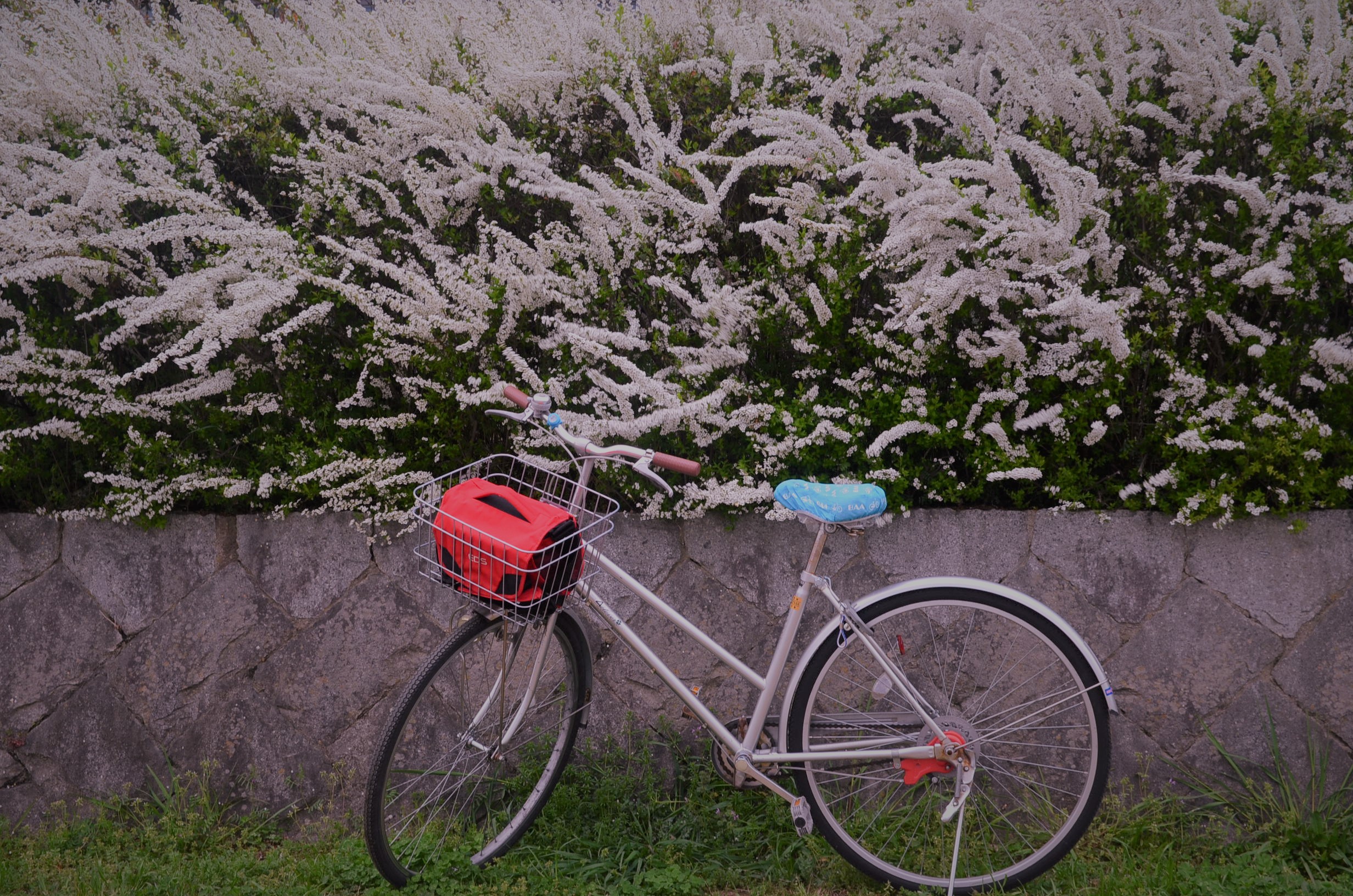 Second hand Bicycle Kyoto