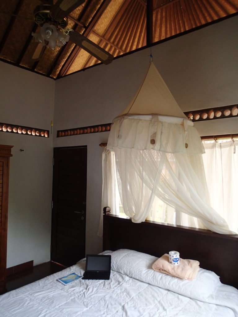 Soni guesthouse double room ubud bali