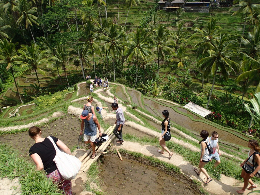 烏布梯田 Tegalalang Rice Terrace