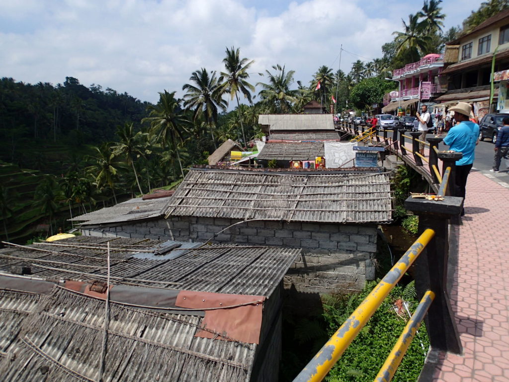 Tegalalang Rice Terrace arrival