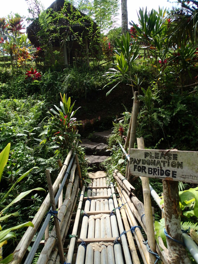 Tegalalang Rice Terrace bamboo bridge