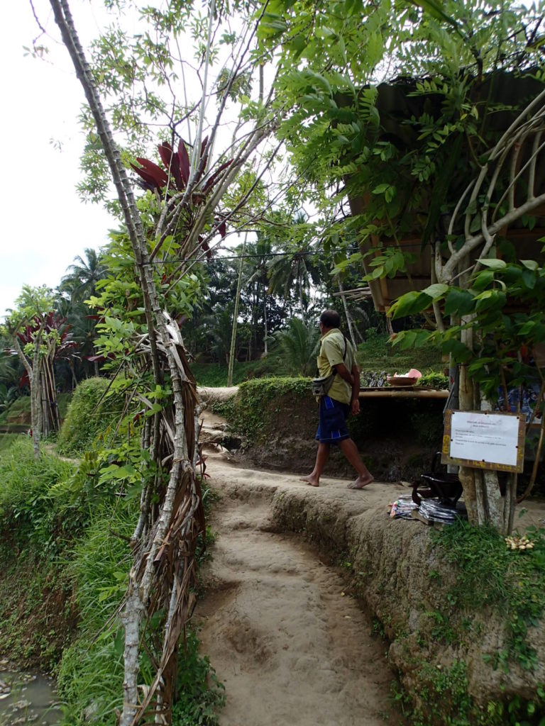 Tegalalang Rice Terrace donation 2