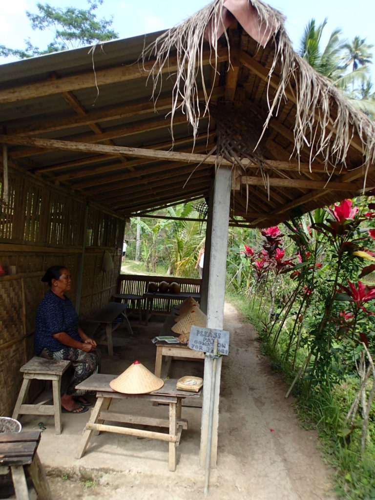 Tegalalang Rice Terrace donation