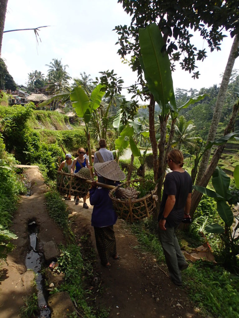 Tegalalang Rice Terrace small road