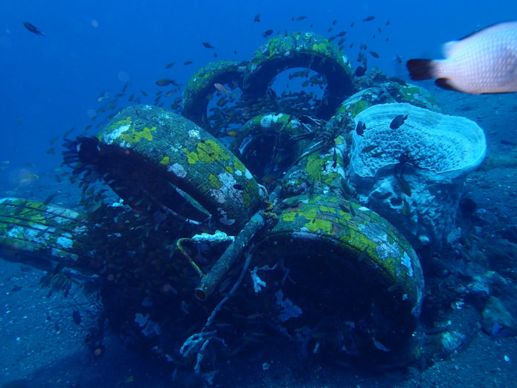 Tulamben Bali Coral Garden 7