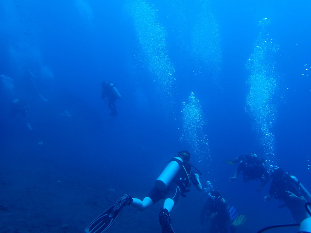 USS Liberty Wreck Bali D1 1