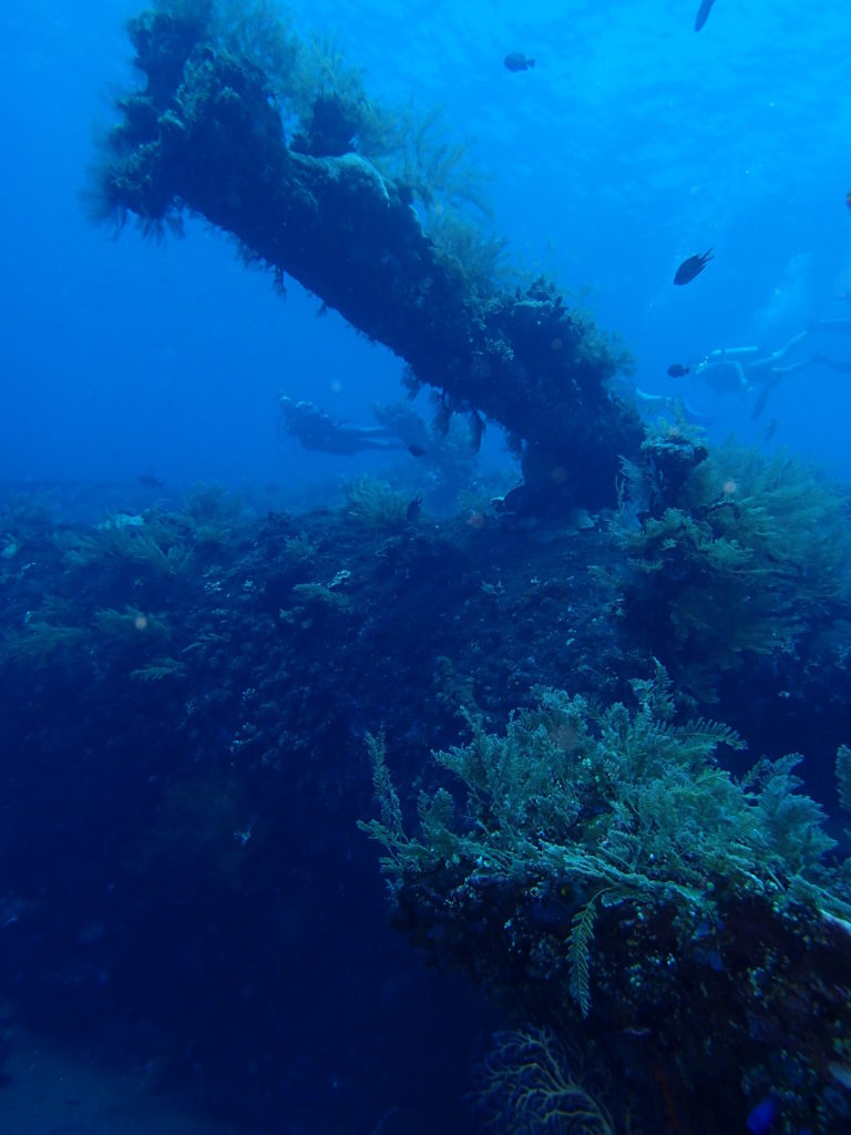 USS Liberty Wreck Bali D2 11