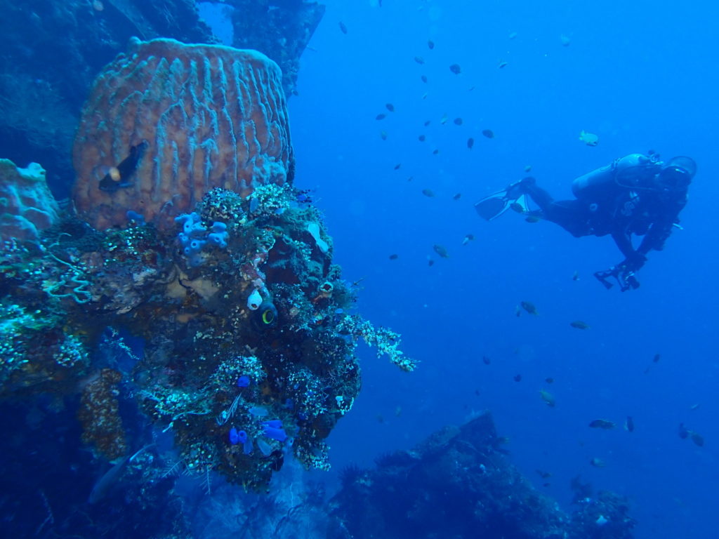USS Liberty Wreck Bali D2 8