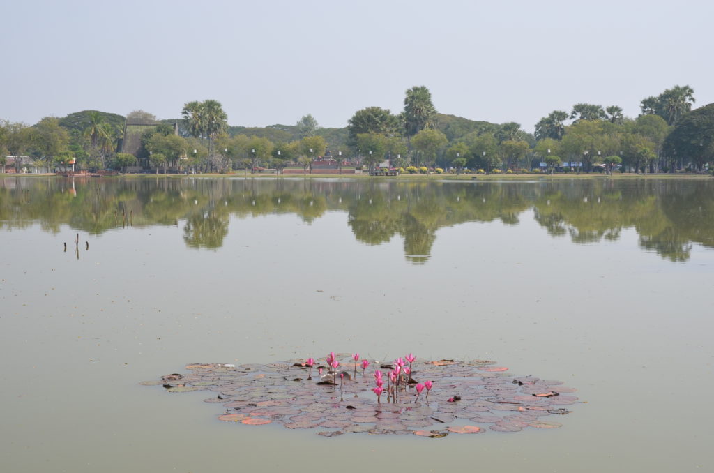 Wat Sa Si Sukhothai pond