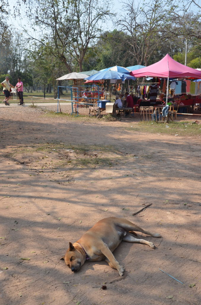 Wat Si Chum Sukhothai dog