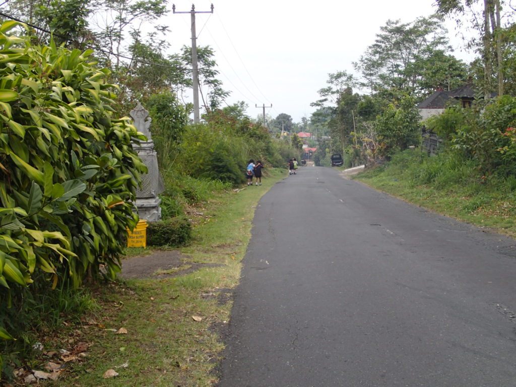 mountain road to Besakih Bali